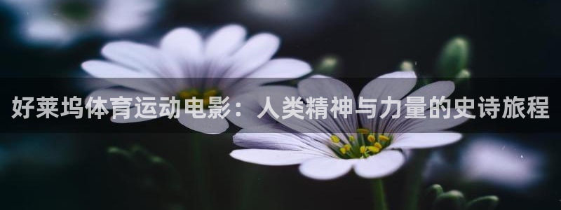 蓝狮在线登录注册