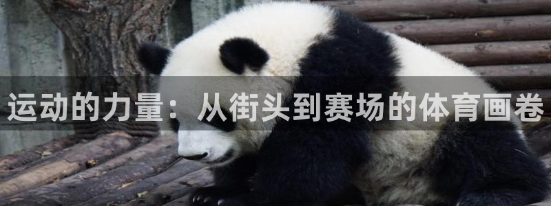 意昂3平台