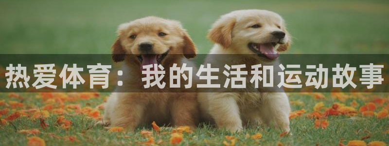 蓝狮在线集团官网