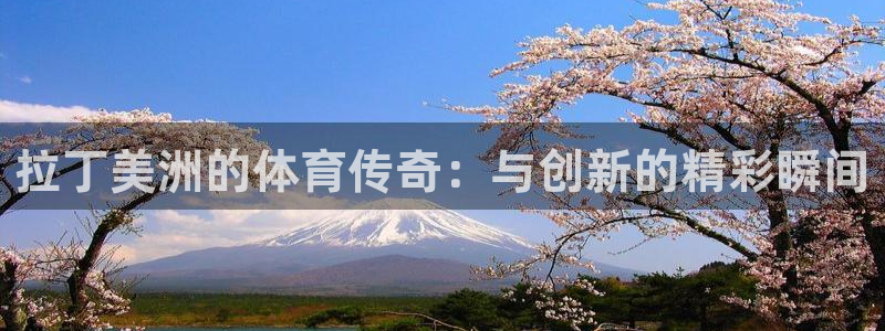 蓝狮在线体育平台总代理
