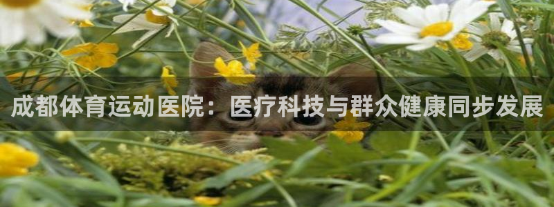 意昂5平台