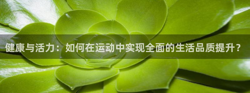 意昂4官网
